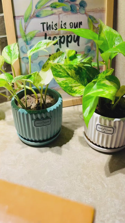 Cartoon Tap Faucet Extender